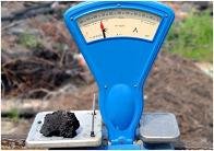 Рыночная оценка земли возможна лишь при наличии возможности передачи прав на это земельный участок по договору купли-продажи, аренды или иному договору.  Стоимость земли, как и стоимость любого другого объекта недвижимости изменяется во времени и оценка земельных участков всегда проводится по состоянию на конкретную дату. оценка земельных участков проводится исходя из принципа наиболее эффективного использования земли. Это значит, что рыночную стоимость земли определяют, исходя из такого использования участка, которое является наиболее вероятным, физически возможным, разумно оправданным, соответствующим требованиям действующего законодательства и финансово осуществимым, что в результате дает максимальную стоимость земельного участка. 